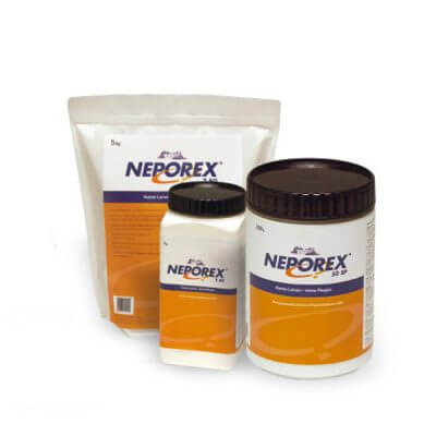 Neporex 50sp